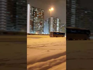 ЛОШАДКА ЕДЕТ ПИЛИТЬ КОНТЕНТ #shorts