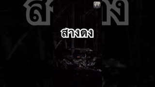 สางดง 🕺🧟‍♂️ #สัมภเวไรตึ้ #เรื่องผี #ghost #เรื่องเล่า