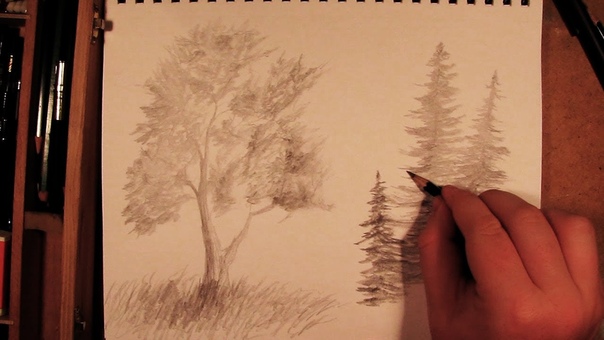 How to Draw a