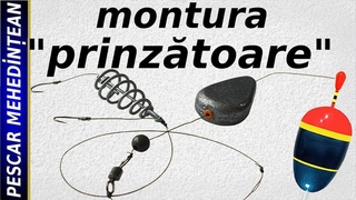Montura prinztoare