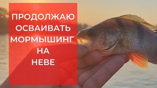 Мормышинг. Первый опыт
