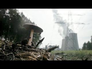 Hainbach - Home Stories (Official Music Video)