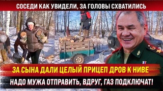 Учитесь! За сына дали целый прицеп дров к “Ниве“! Надо мужа отправить, вдруг, газ еще подключат!