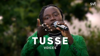 Tusse - Voices  | Allsng p Skansen 2021 | SVT