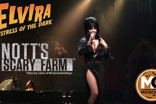Elvira Mistress of the Dark - Knott's Scary Farm 2017