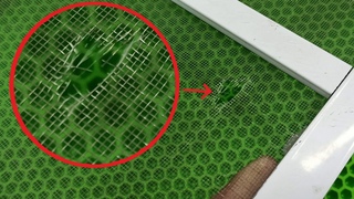 How to repair a mosquito net with your own hands in 2 minutes