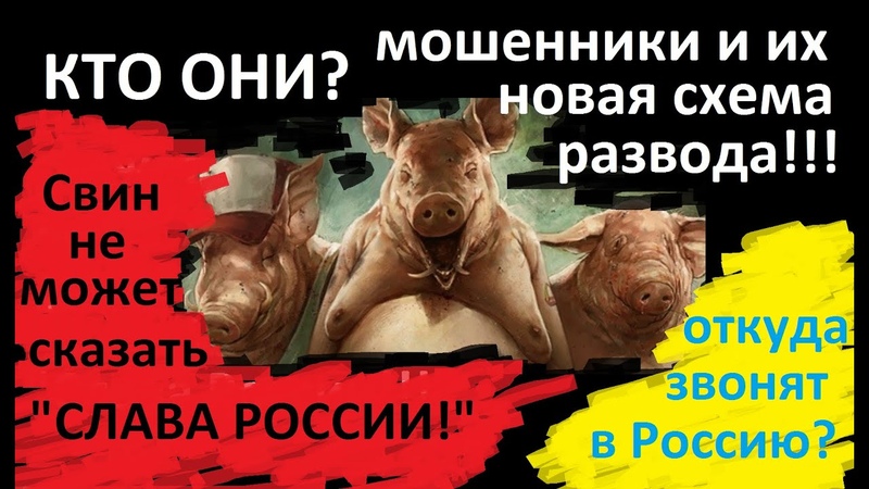 Новая схема развода мошенниками в Zoom Укр спалился на Слава