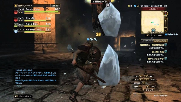 Dragons Dogma Online World Quest