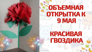 Объемная открытка к 9 мая. Красивая гвоздика