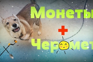 Начал с монет, закончил черметом