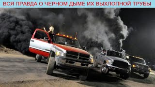 Простыми словами о черном дыме из выхлопной трубы: как найти поломку, почему возникает и что делать