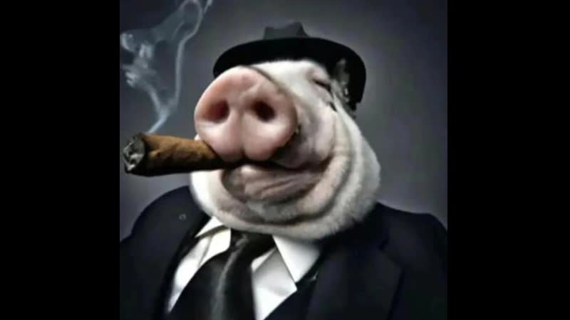 тёутёупуматёу головного мозга, играем с подписчиками(пока