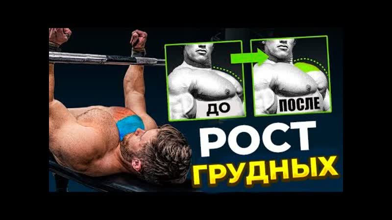 Почему от Жима Лежа НЕ растут Грудные