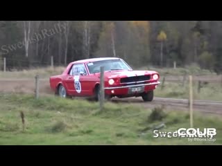 Rally Swedish Mustang
