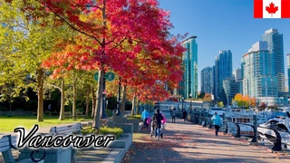 🇨🇦Vancouver Autumn Walk - Coal Harbour with Autumn Foliage - 【4K 60fps】