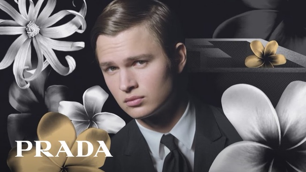La Femme Prada Intense et L Homme Prada