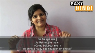 10 Hindi idioms involving animals - Easy Hindi Basic Phrases (9)