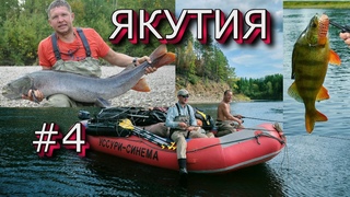 Таймени ЯКУТИИ - Команда рыбаков клуба “ЛЕФУ“ на новой реке ... (4 серия)