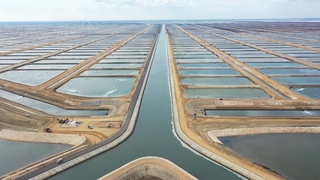 How Egypt is Sustainably Becoming the Worlds largest fish producer