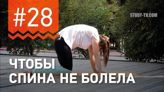 №28. Упражнение ЧТОБЫ НЕ БОЛЕЛА СПИНА  от чемпионки мира по фитнесу Марии Попретинской.