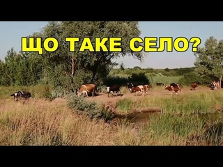 ЩО ТАКЕ СЕЛО