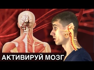 ШЕЯ на службе у МОЗГА: 5 минут упражнений для лучшего кровообращения и мышления!
