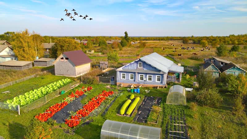 Один день из жизни деревенской семьи в России. Осень на