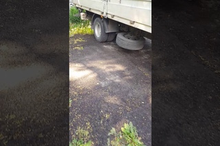 Гнездо дрозда на машине