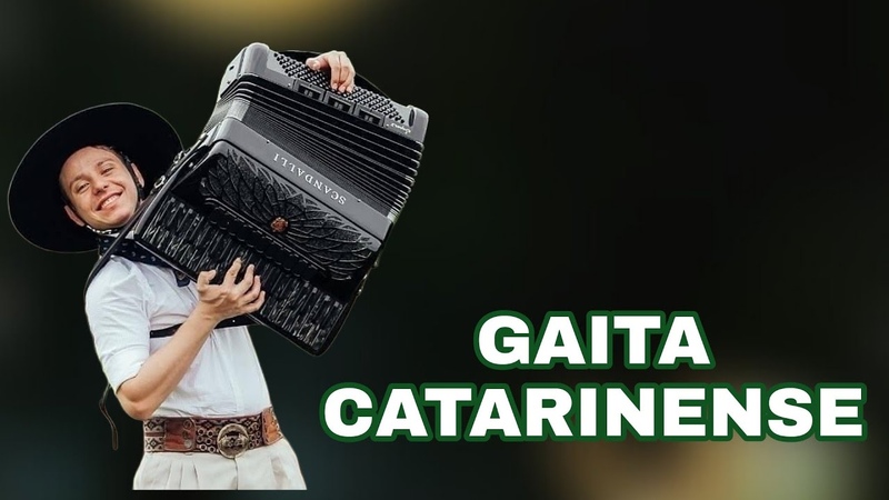 Felipe Gaiteiro só gaitaço BAGUAL