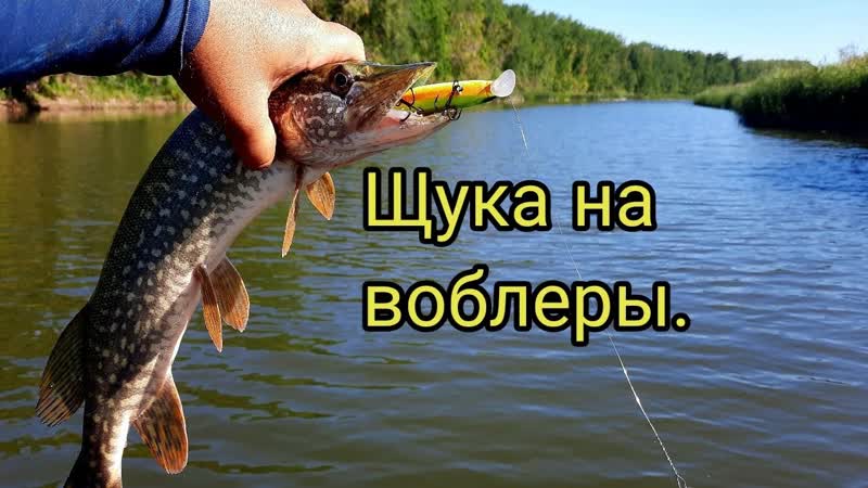 Рыбалка на спиннинг в