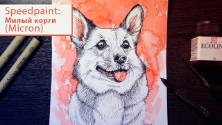 Рисунок милого корги/Графика ручками Pigma Micron и акварелью Ecoline/Speedpaint