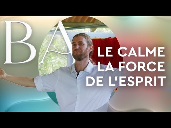 LE CALME LA FORCE INTÉ