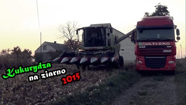 Kukurydza na ziarno 2015 Claas Tucano 440