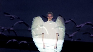Linda Fredriksson – Neon Light [and the sky was trans]