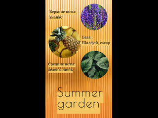 Summer time