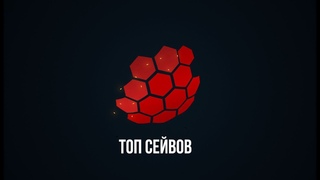 Топ сейвов ВЛФЛ за 20-21 апреля 2024