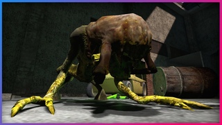 What If Headcrabs Could Infect Vortigaunts.. | Garry's Mod