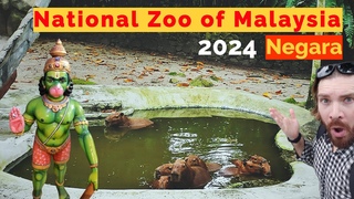 Национальный зоопарк Малайзии Негара | KL Zoo Negara 2024