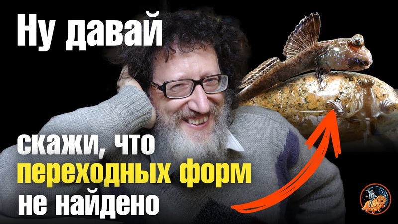 Куда исчезли переходные формы Где новые виды , Биолог