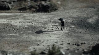FRBOLO - QUESTO  UN MANICOMIO