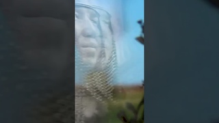 ЗАПАДНЫЙ КИПЧАКСКИЙ ПОХОД ХАНА БАТУ#загадкиистории #кипчаки #reflectionsonhistory #zagadkiistorii