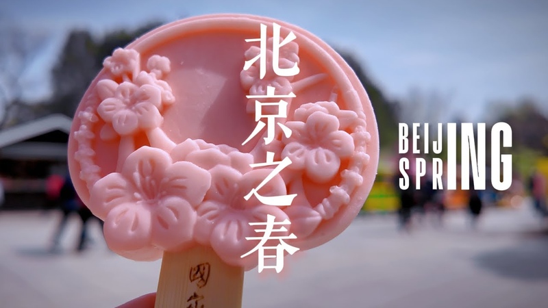 4 K HDR Beijing Spring, The Summer Palace tour, National Arboretum Flower Festival, gourmet