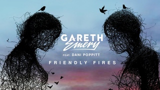 Gareth Emery feat. Dani Poppitt - Friendly Fires