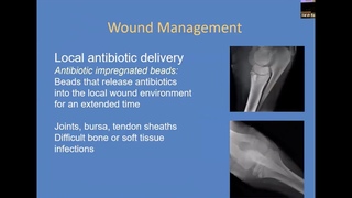 Equine First Aid - Cornell Vet Equine Seminar Series, June 2019