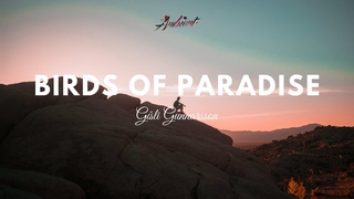 Gsli Gunnarsson - Birds of Paradise