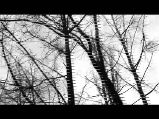 Ночные Грузчики