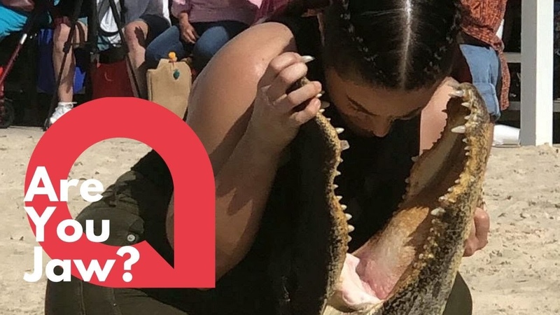 Woman shoves her head in an alligators mouth during competition ,