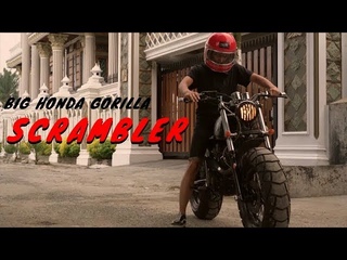 HONDA TIGER SCRAMBLER (BIG HONDA GORILLA)