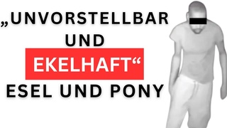 Esel und Pony fr Murat und Rony | Mann missbraucht Pony  Kamera zeichnet Tat auf