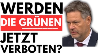 EILMELDUNG: VERBOT DER GRNEN GEFORDERT! (STRAFBEFEHL GEGEN DIE GRNEN)
